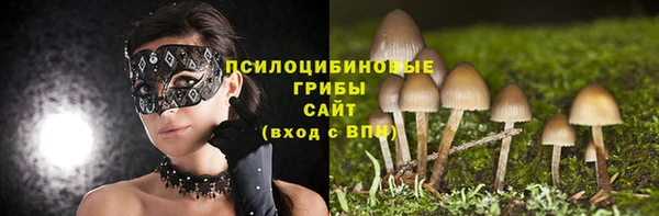 спиды Лабытнанги