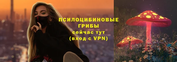 спиды Лабытнанги
