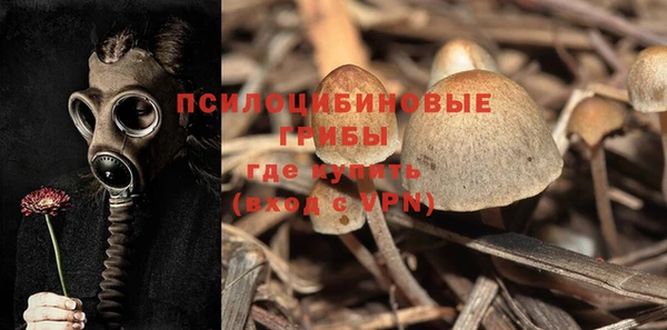 спиды Лабытнанги