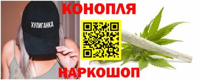 гидропоника Бийск