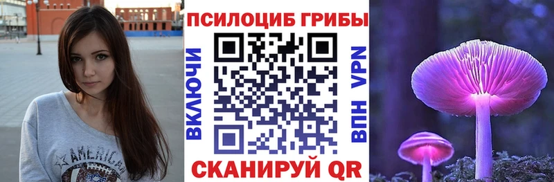 где купить наркоту  Скопин  это наркотические препараты  Галлюциногенные грибы мицелий 