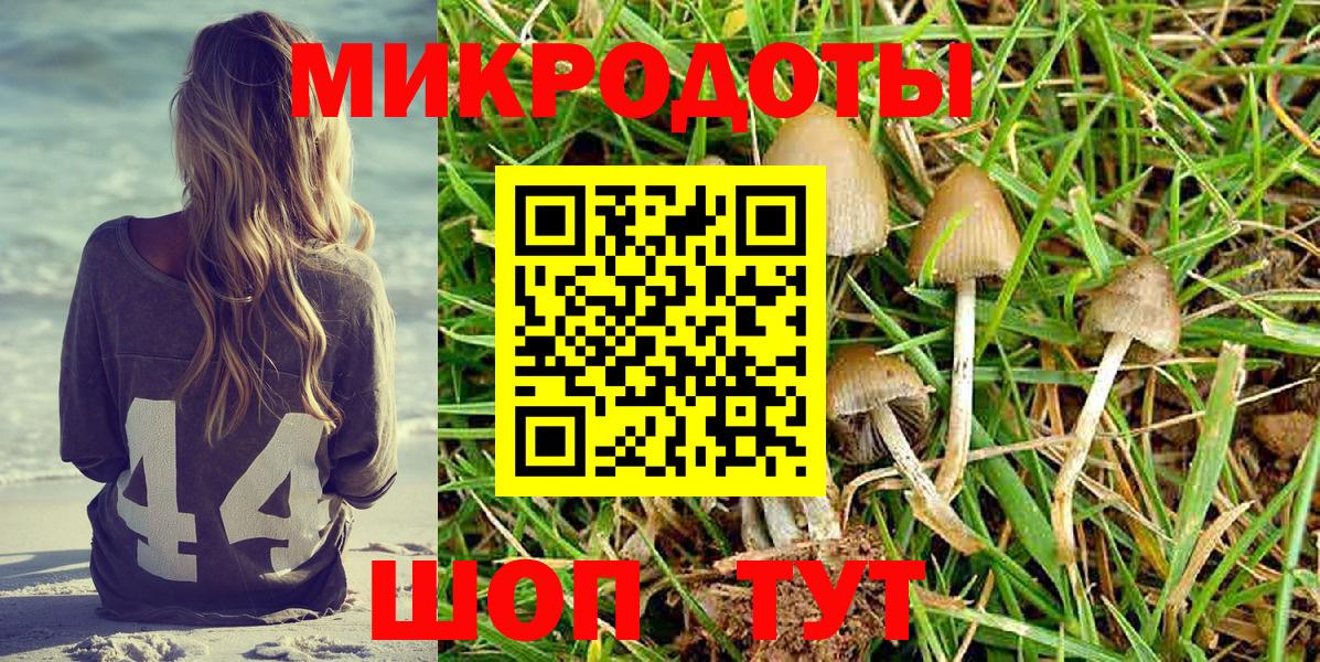 Скопин  Псилоцибиновые грибы Psilocybine cubensis  Галлюциногенные грибы Psilocybe  Вход с VPN 
